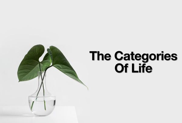 The Categories of Life
